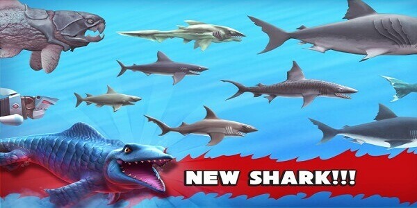 new shark in game