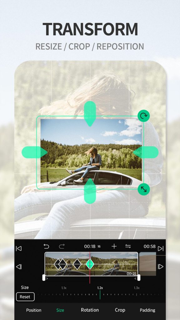 VLLO screenshot