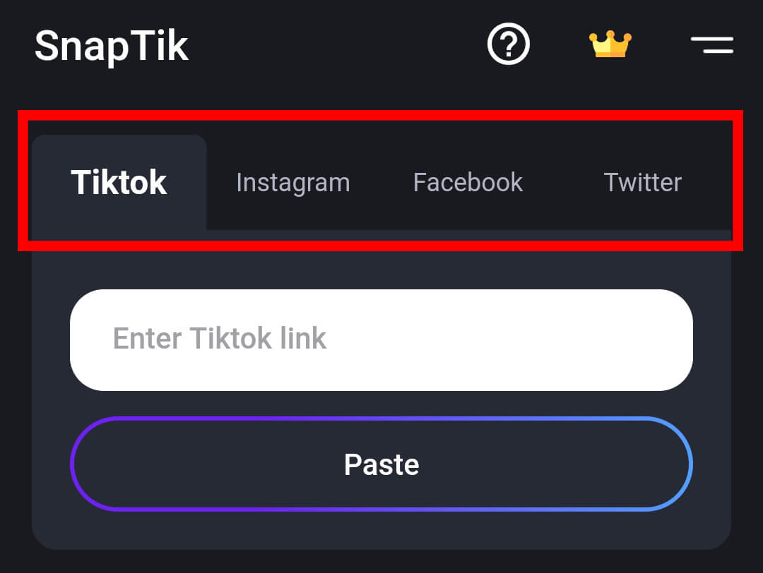 enter tiktok link