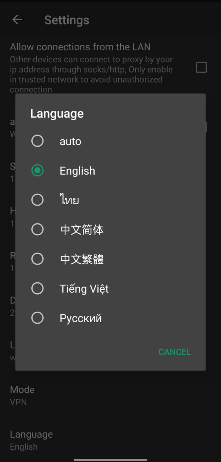 100MB VPN screenshot