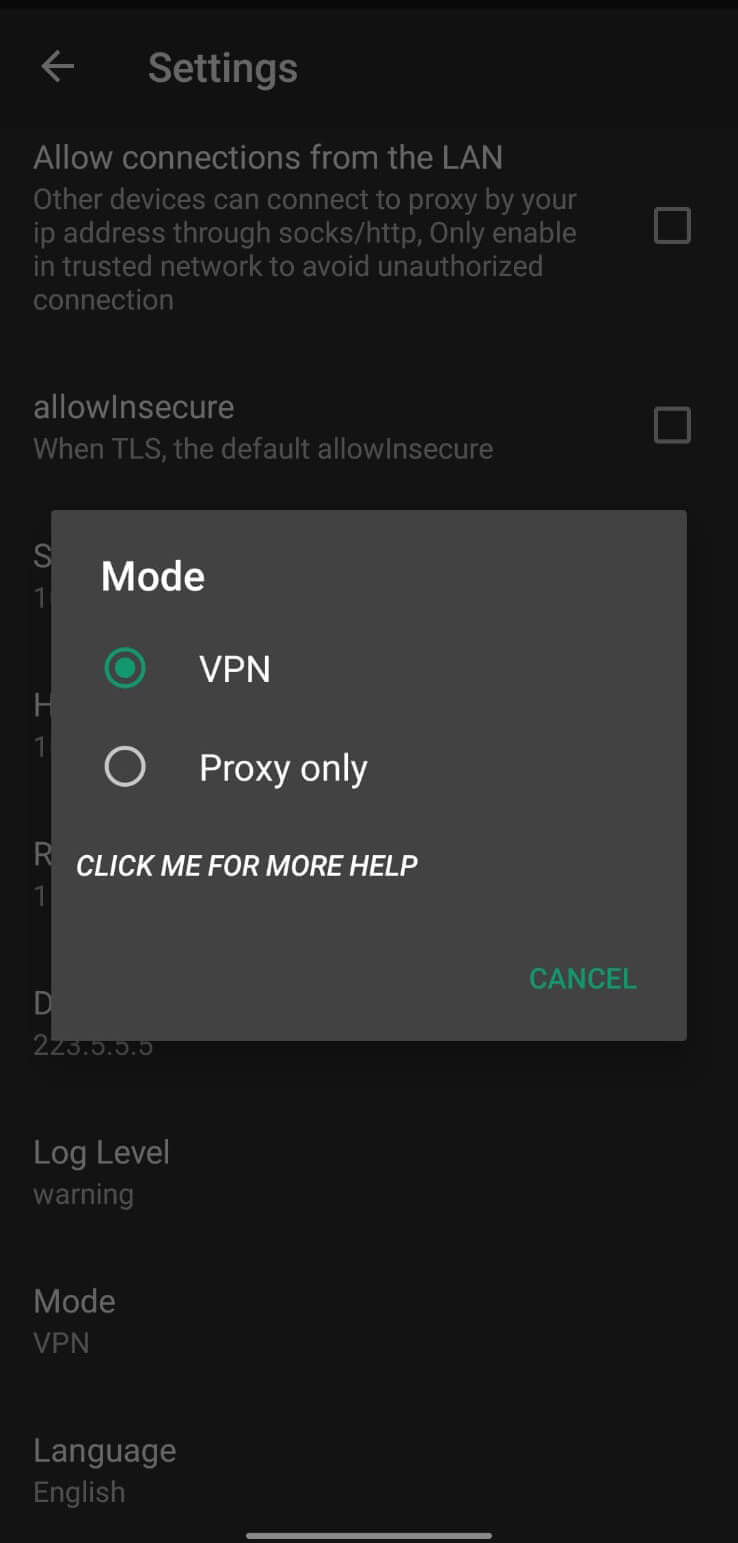 100MB VPN screenshot