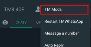 Click on TM Mods