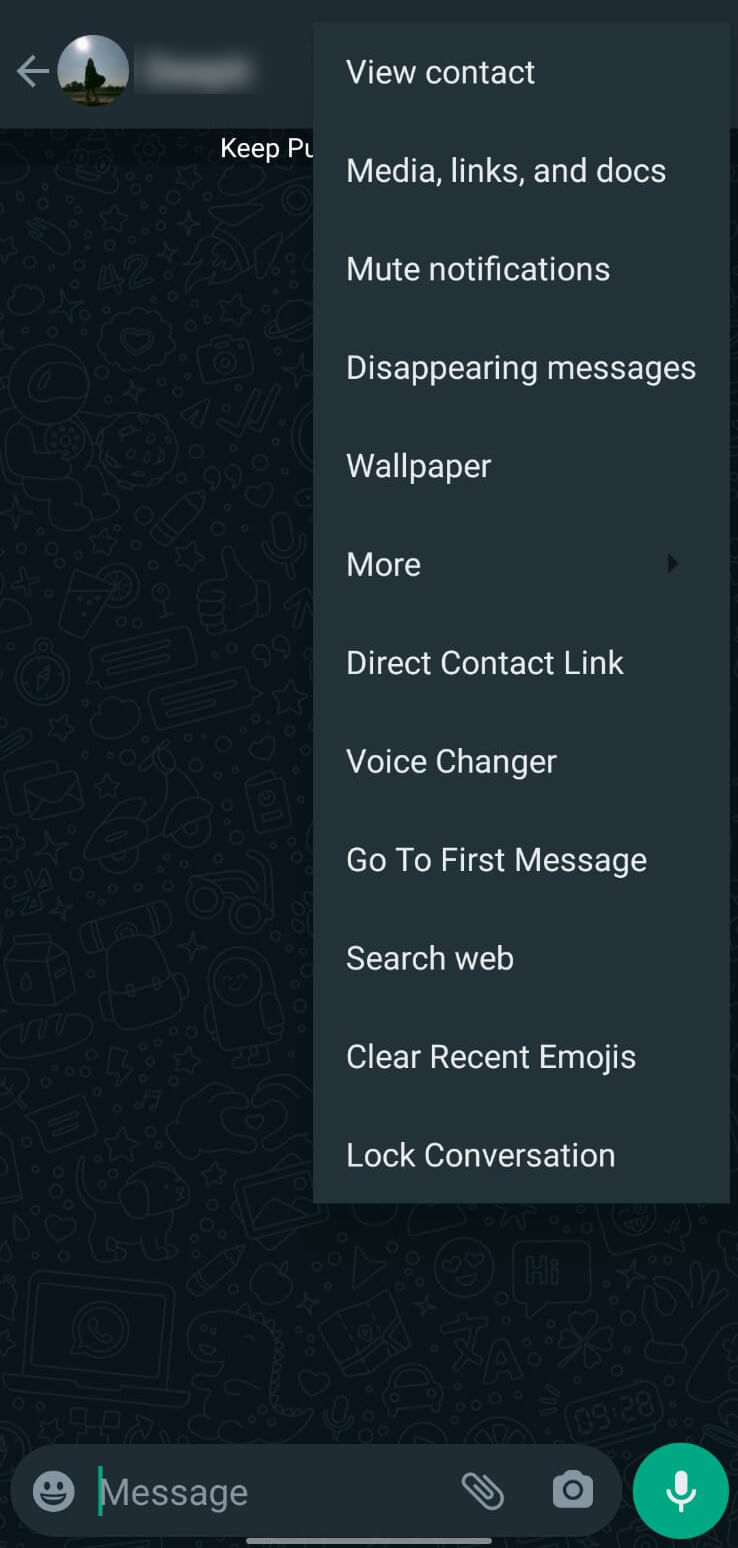 WhatsApp Plus screenshot