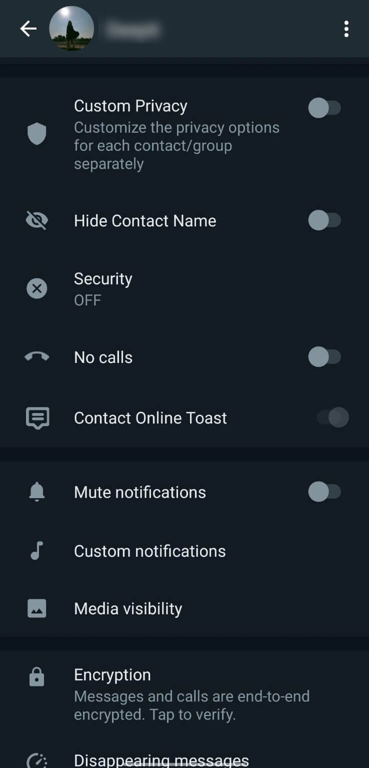 WhatsApp Plus screenshot