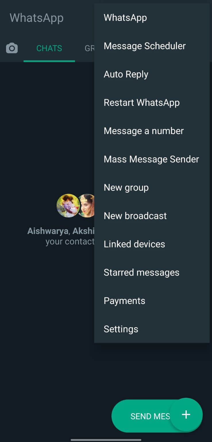 WhatsApp Plus screenshot