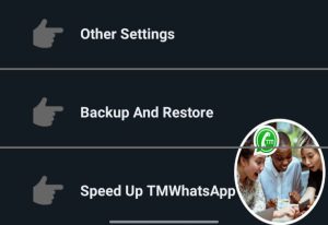 Click on Backup & Restore
