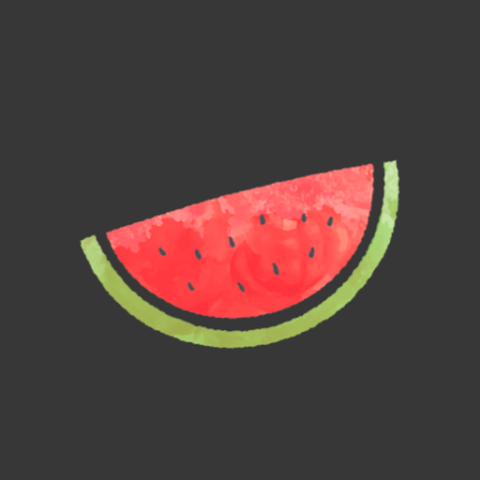 Melon VPN logo