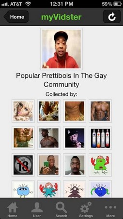 MyVidster screenshot