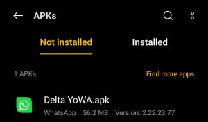 locate the Delta YoWhatsApp file
