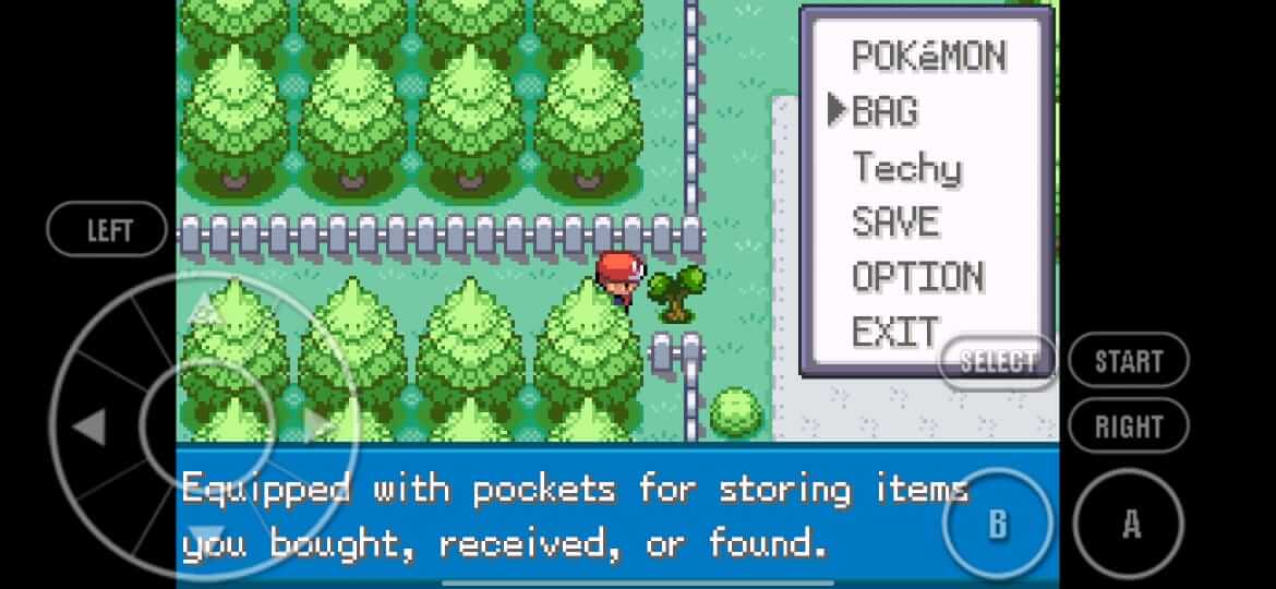 Pokemon Fire Red screenshot
