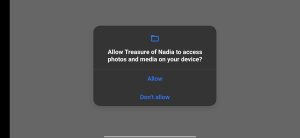 Click on Allow