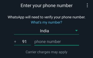 Enter your WhatsApp number