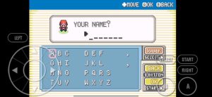 Enter your Name & your Rival's name