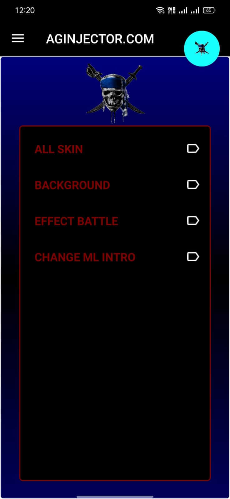 AG Injector screenshot