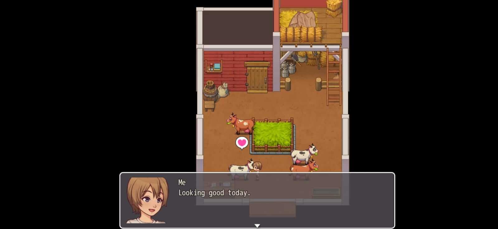 Daily Lives Of My Countryside screenshot