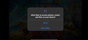 Allow Photos, media and files access to Angry Birds Epic