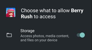 Strawberry Shortcake successfully installed
