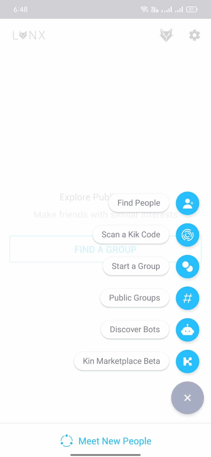 Lynx Remix screenshot