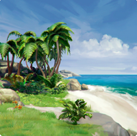 Ocean Is Home 2