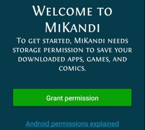 grant permission to Mikandi for installation