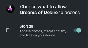 Dreams of Desire asking for storage access