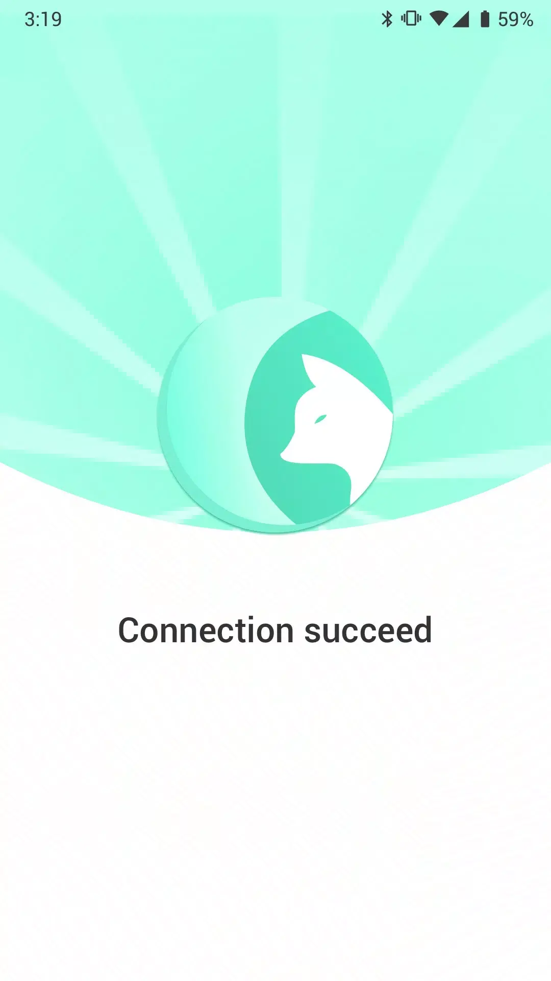 Fox VPN screenshot