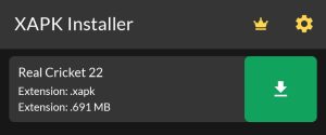 install Real Cricket 22 after finding the XAPK File