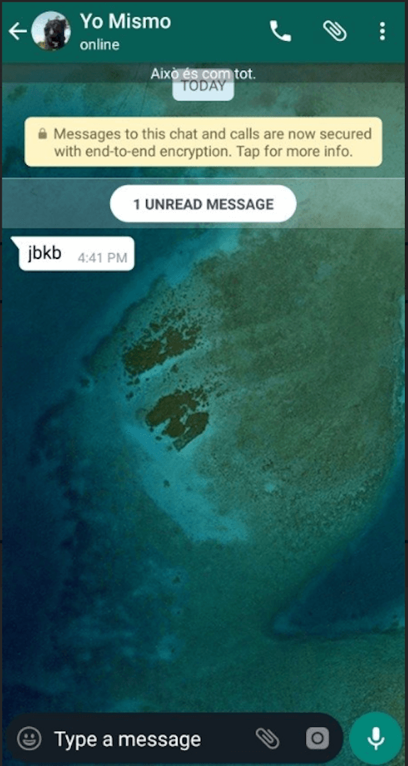 GBWhatsApp Delta screenshot