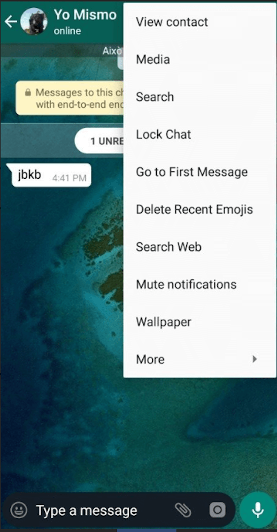 GBWhatsApp Delta screenshot