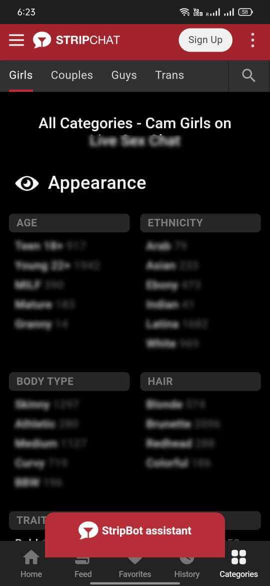 Stripchat screenshot