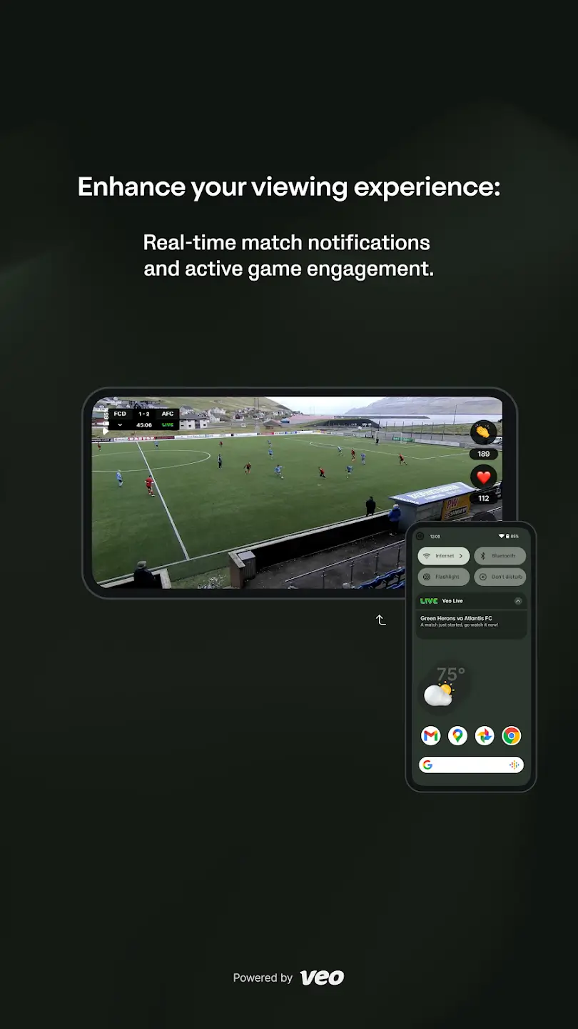 Veo Live screenshot