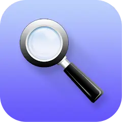 Quick Search Widget