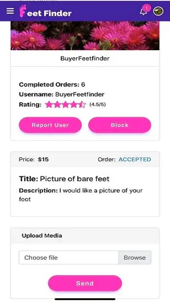 FeetFinder screenshot