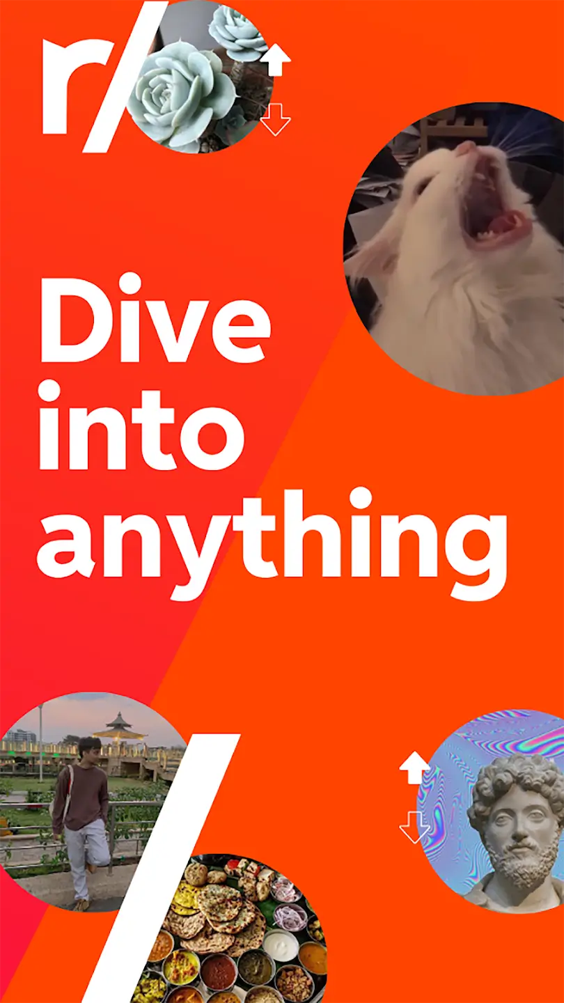 Reddit screenshot