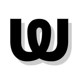 IG Wrapped logo