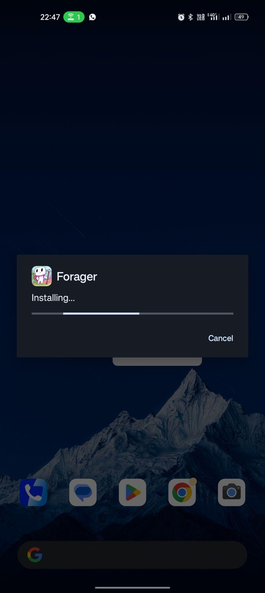 Forager apk installing