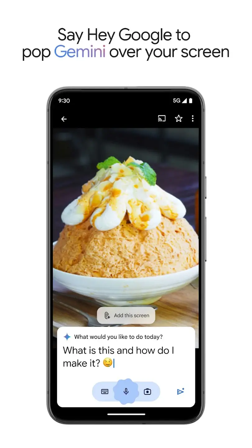 Gemini screenshot
