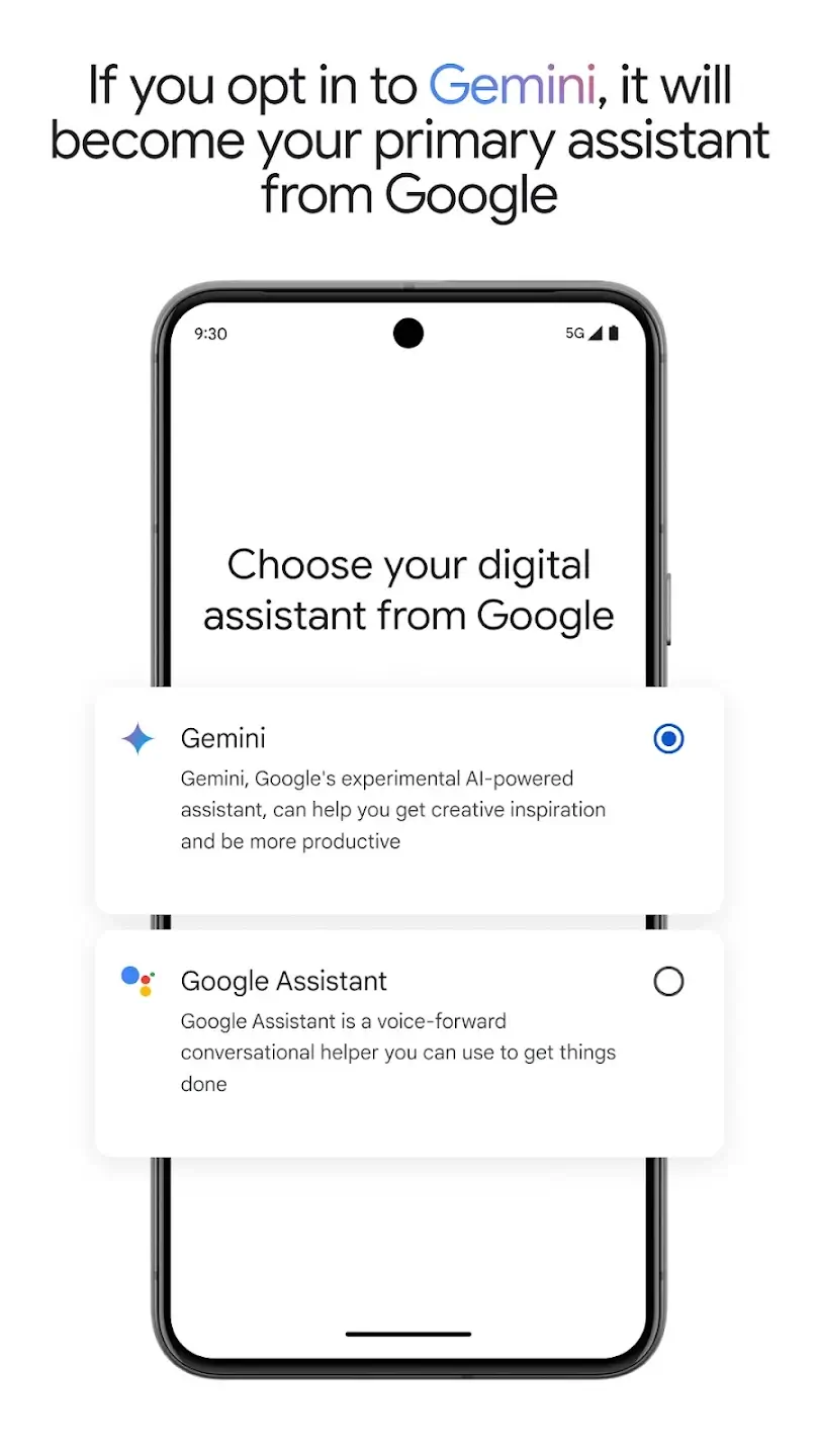 Gemini screenshot