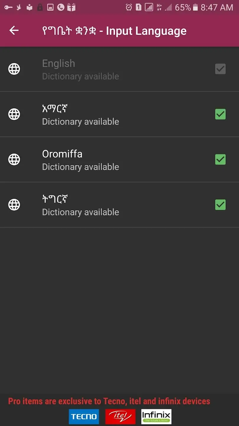 FynGeez screenshot
