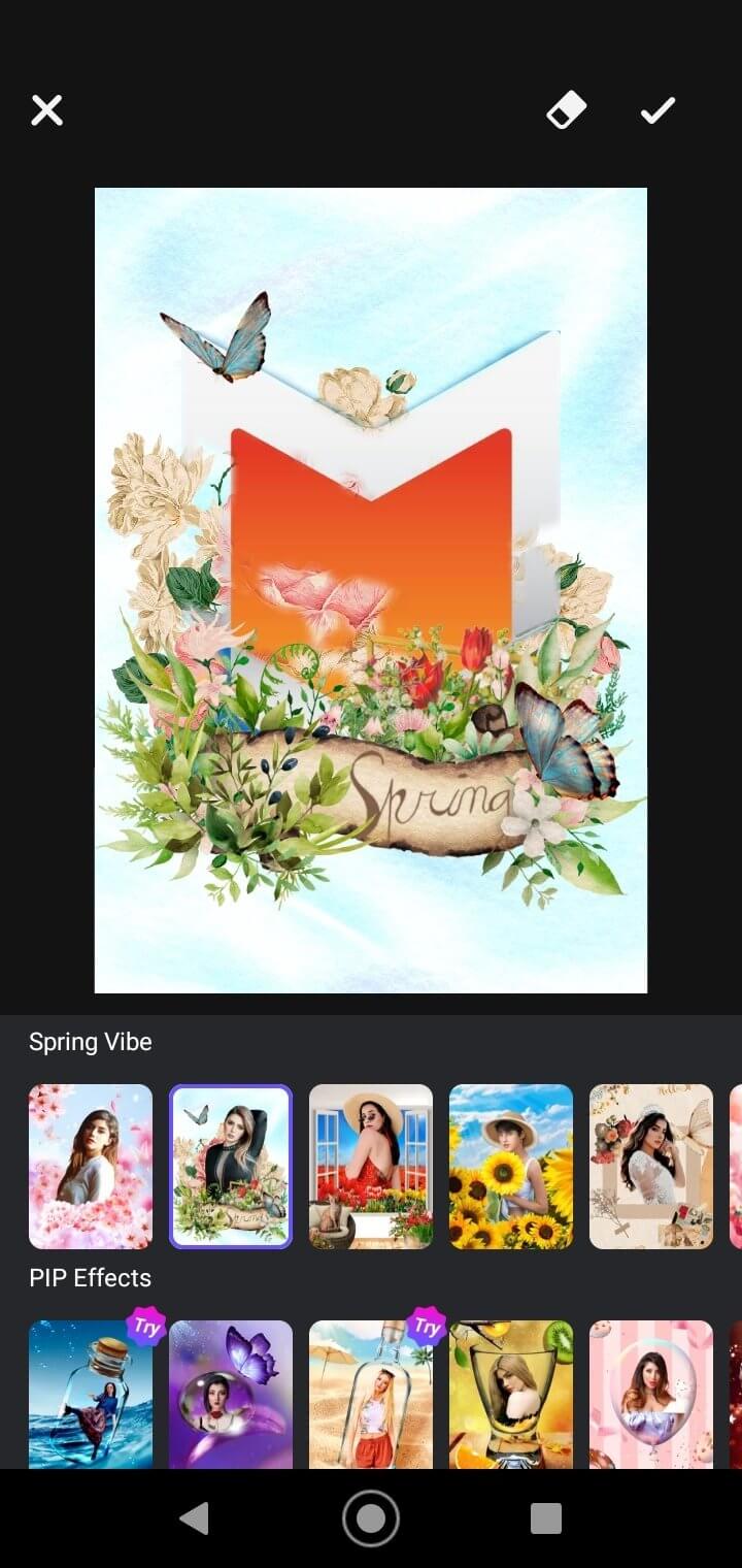 MagPic screenshot