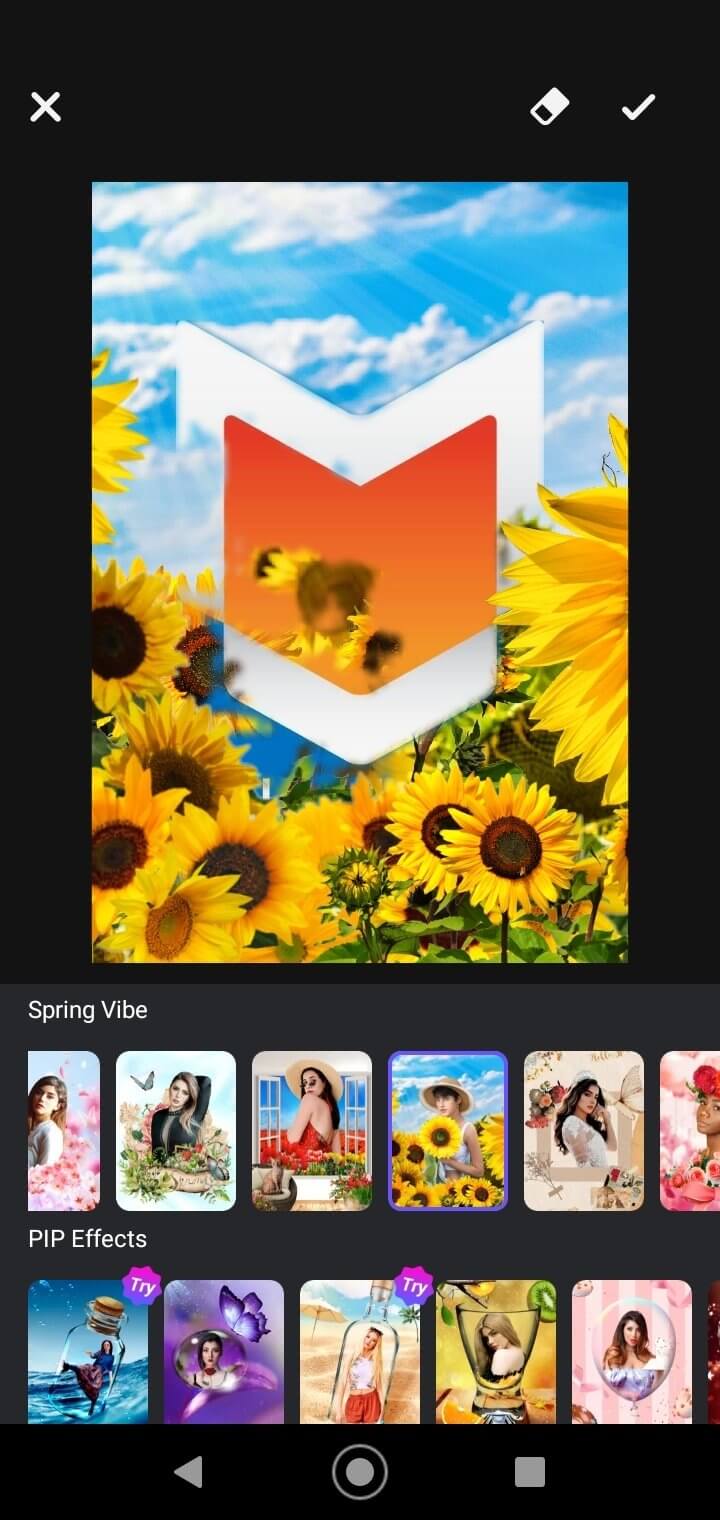 MagPic screenshot