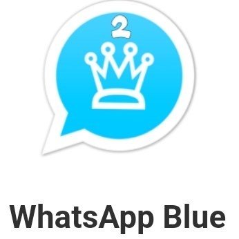 WhatsApp Blue logo WhatsApp Blue logo
