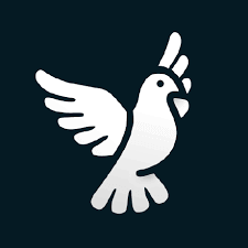 Byedpi logo