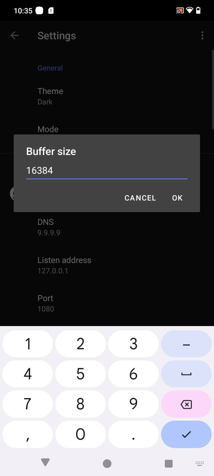 Byedpi screenshot