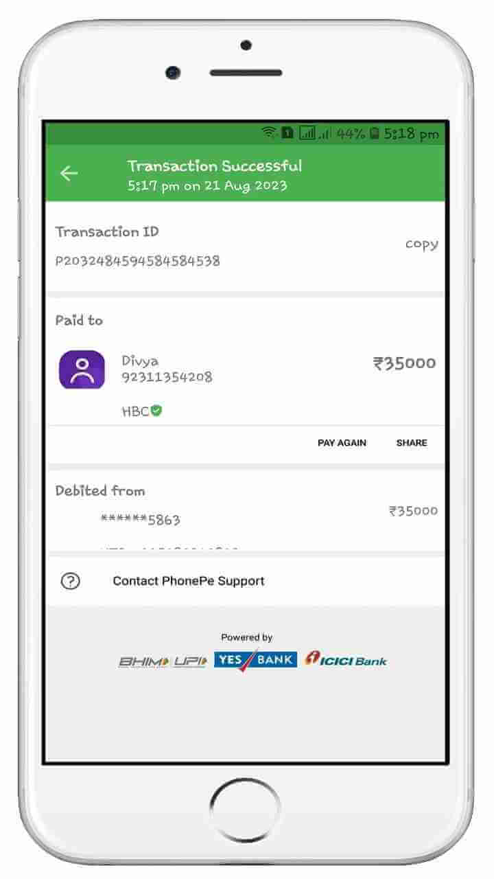 Prank Payment screenshot